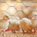 loja de tela hexagonal pinteiro Itapema loja de tela hexagonal pinteiro Itapema