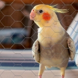 loja de tela hexagonal viveiro Timbó loja de tela hexagonal viveiro Timbó