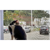 onde vende tela para mosquito Gravataí onde vende tela para mosquito Gravataí