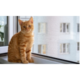 tela de mosquiteiro Passo Fundo tela de mosquiteiro Passo Fundo