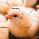 tela hexagonal galvanizada Campo Largo tela hexagonal galvanizada Campo Largo