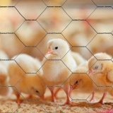 tela hexagonal valores Florianópolis tela hexagonal valores Florianópolis