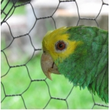 tela hexagonal viveiro Balneário Piçarras tela hexagonal viveiro Balneário Piçarras