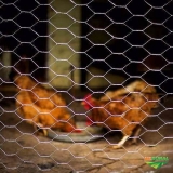 tela metálica hexagonal valores Camboriú tela metálica hexagonal valores Camboriú