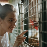tela soldada para viveiro preço Pomerode tela soldada para viveiro preço Pomerode